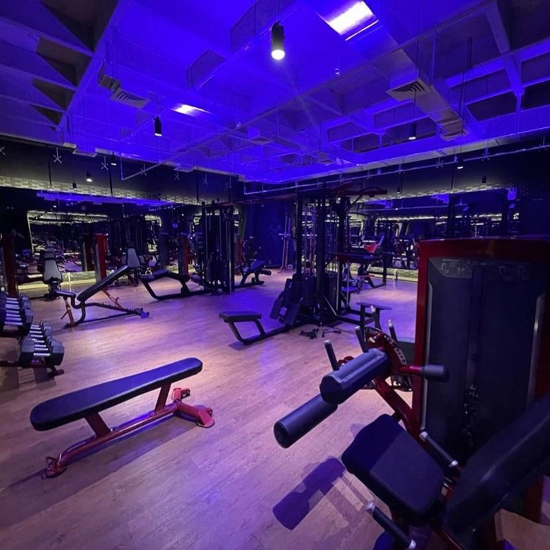 Multiplaza y Action Black