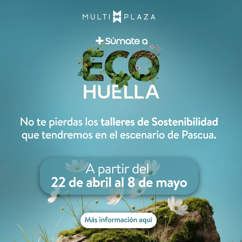 🌿 Eco Huella