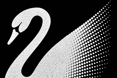 Swarovski
