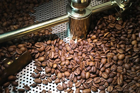 Coffea Diversa