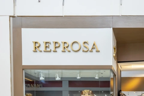Reprosa